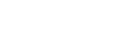 ELSA Logo White